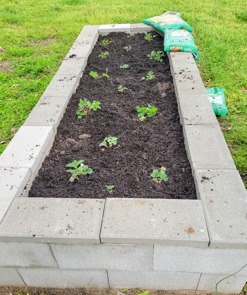 Cinder Block Raised Bed - The Four Acre Farm